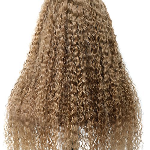 27 Kinky Curly Hair 13x4 Lace Front Wigs Pre Plucked3